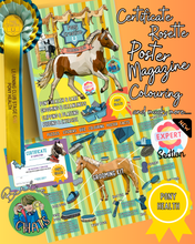 Load image into Gallery viewer, Pony Creative Learning Club: Previous Topic 'Pony Health'