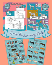 Load image into Gallery viewer, Pony Creative - COMPLETE PACK OF LEARNING PRINTABLES