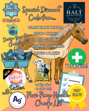 Load image into Gallery viewer, Pony Creative Learning Club: Previous Topic 'Pony Health'