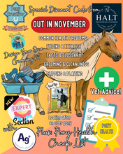 Load image into Gallery viewer, Pony Creative Learning Club: Subscription