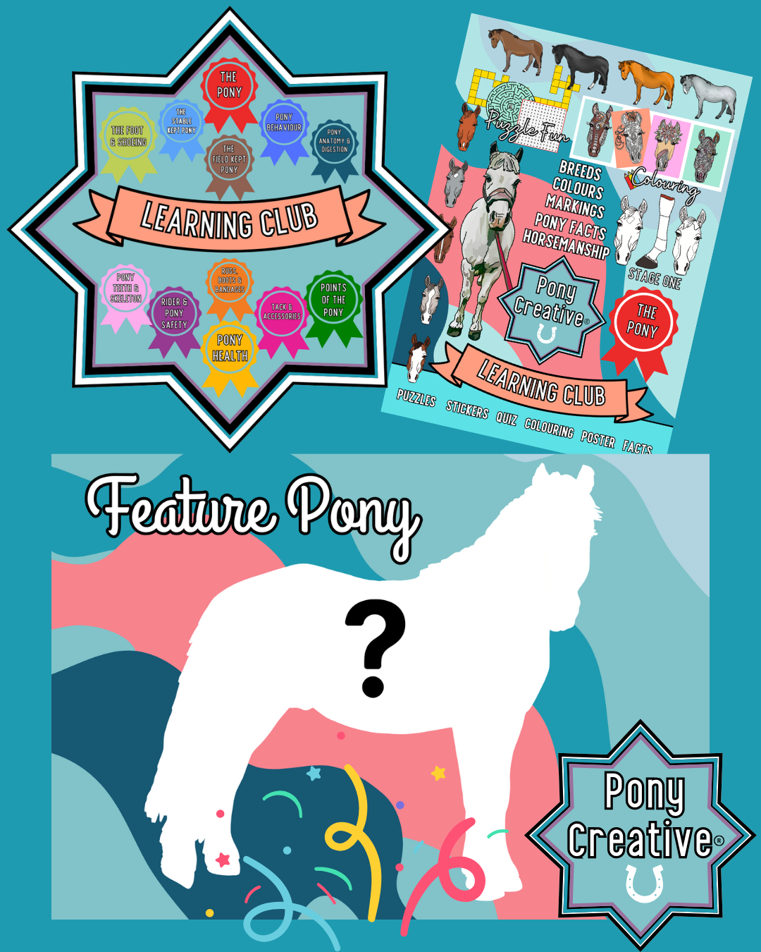Search for a 'Feature Pony'