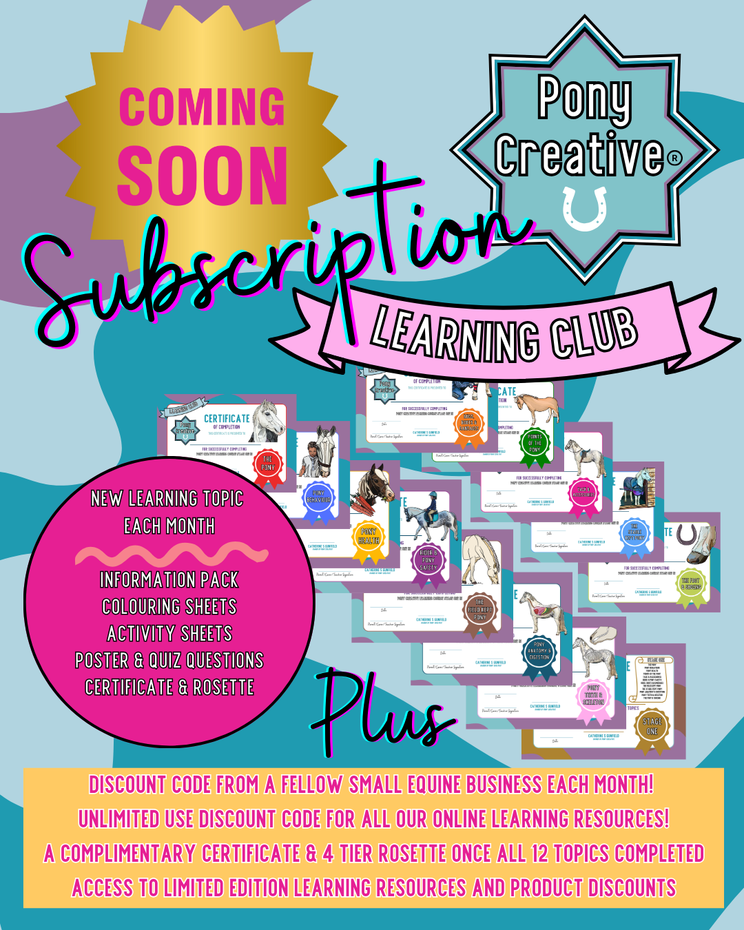 COMING SOON....Our monthly subscription to our BRAND NEW Learning Club