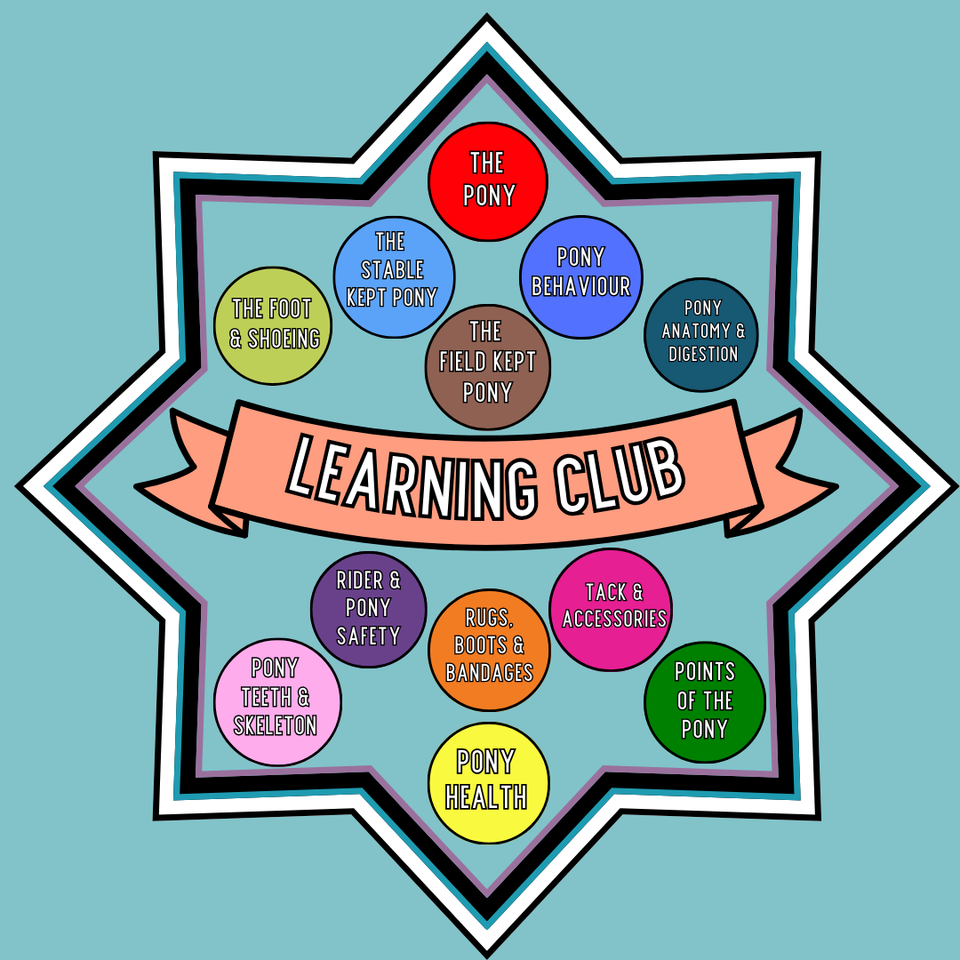 Pony Creative Learning Club