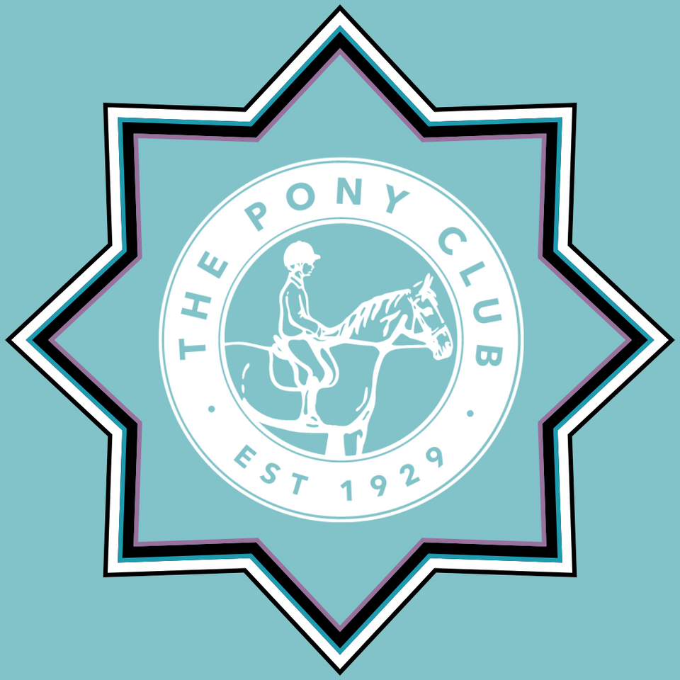 Pony Club Approved Colouring Books