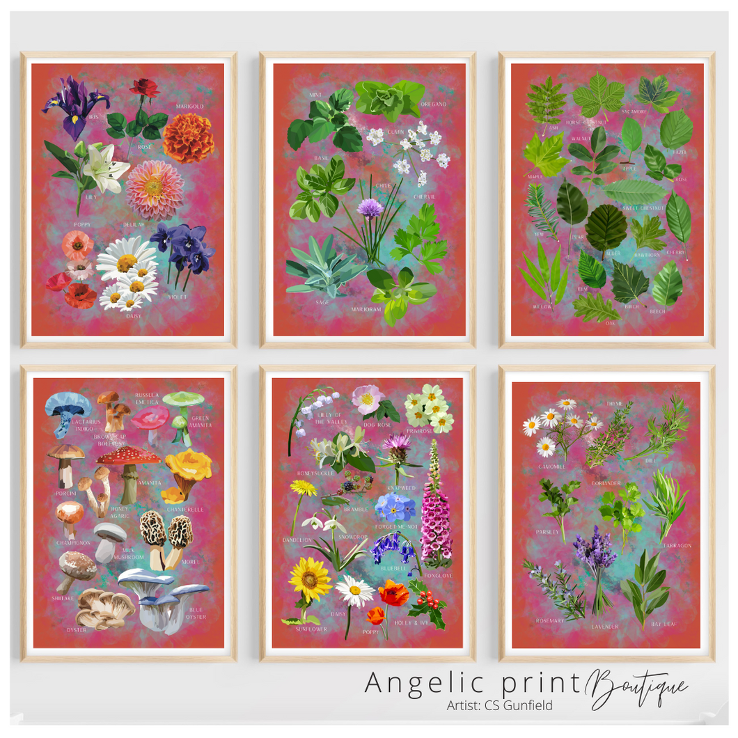 Hand illustrated Digital prints set of 6
