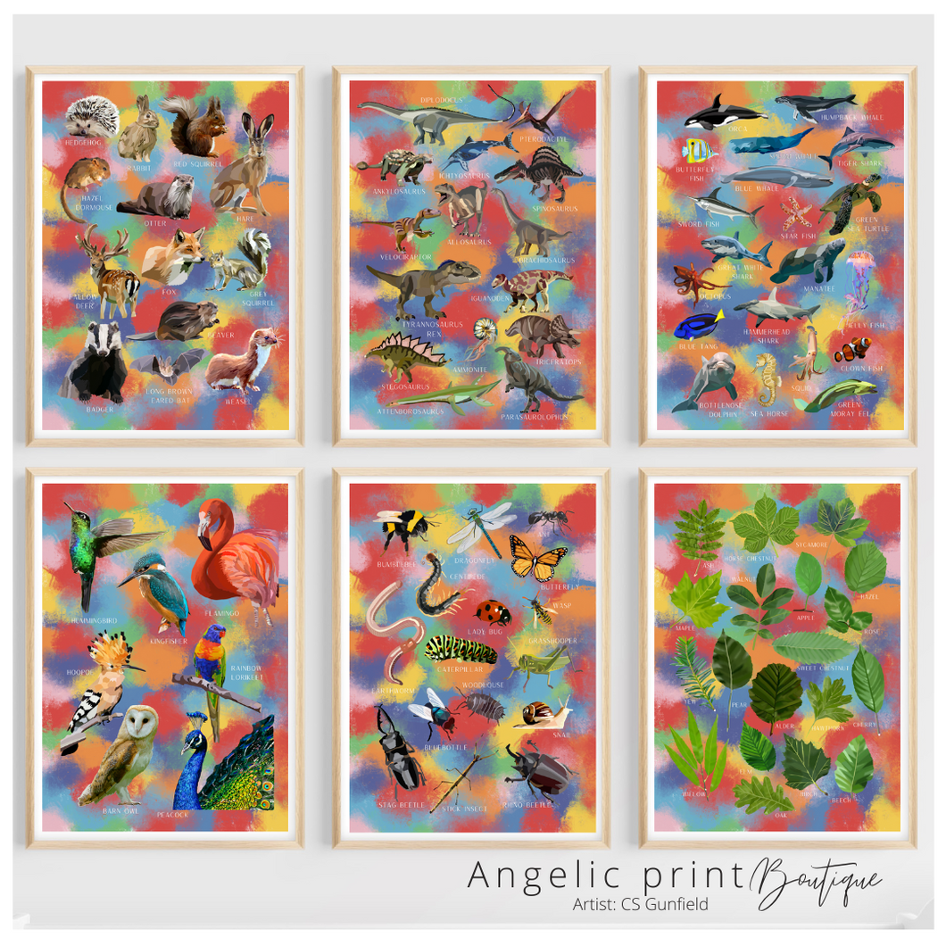 Hand illustrated Digital prints set of 6 Learning posters