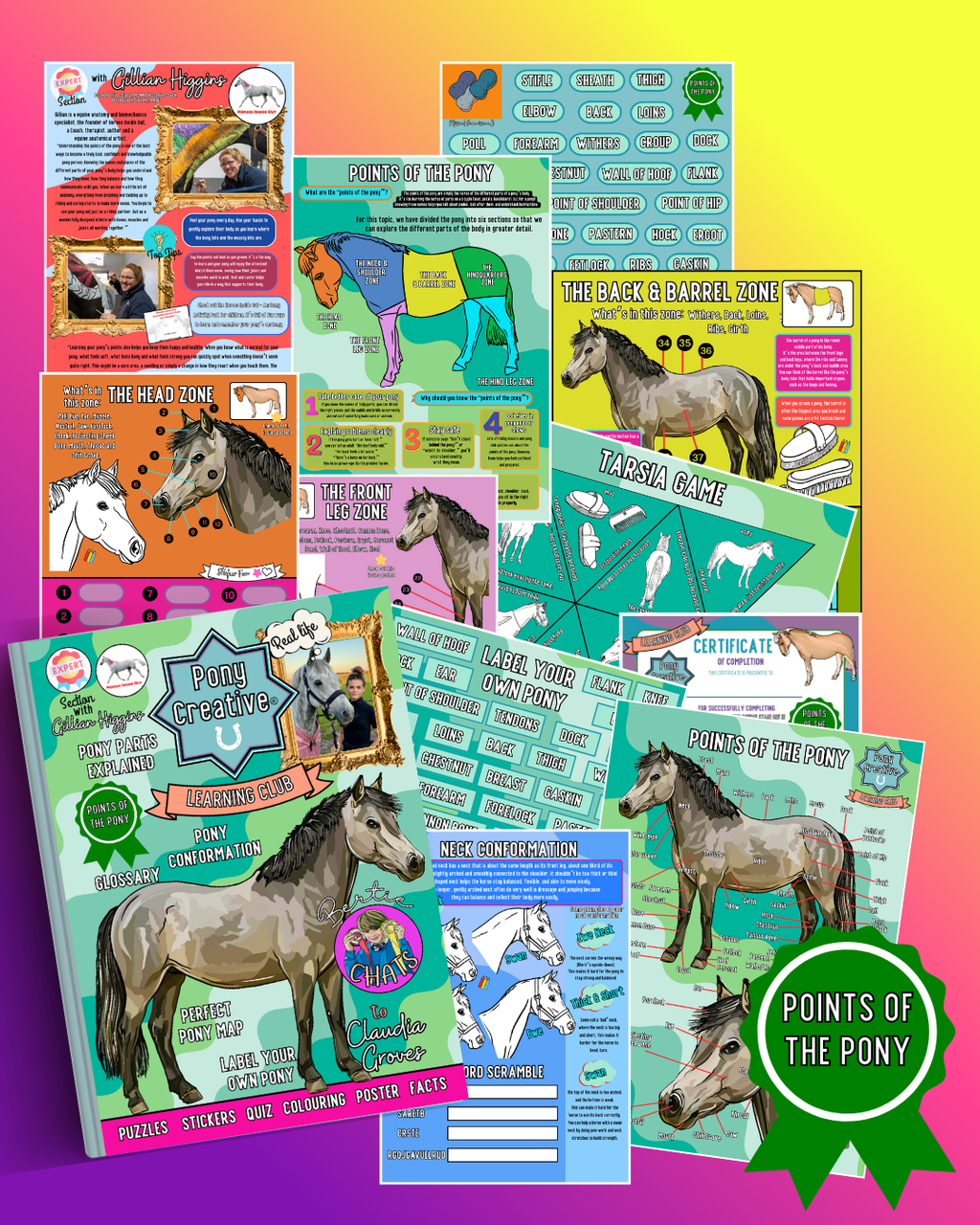 Pony Creative Learning Club: Previous Topics