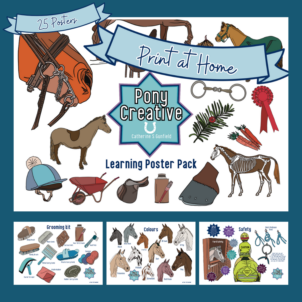 Pony Creative - Printable Learning Posters pack of 25