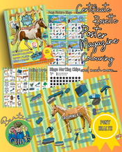 Load image into Gallery viewer, Pony Creative Learning Club: Previous Topic 'Pony Health'
