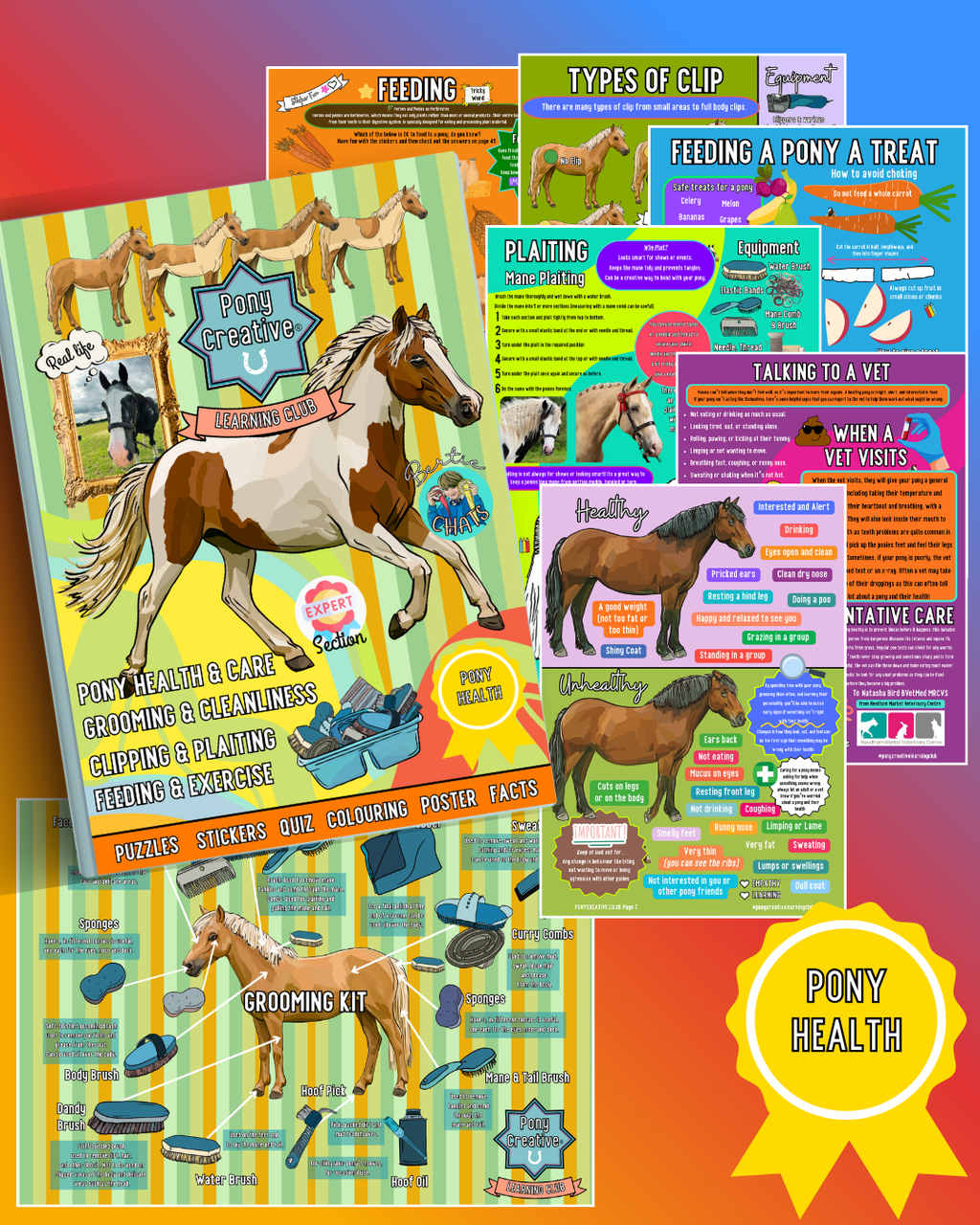 Pony Creative Learning Club: Previous Topics