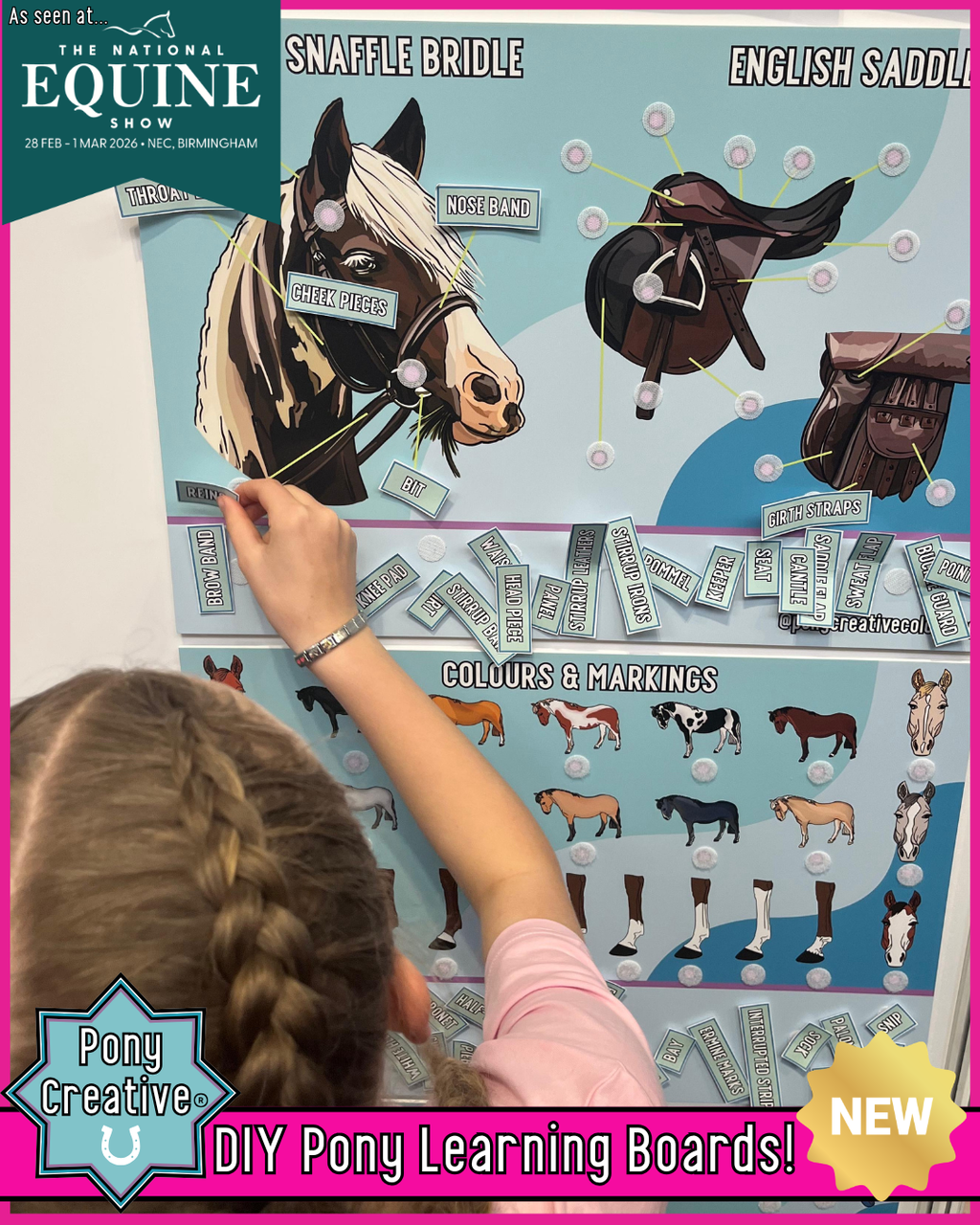 Pony Creative  DIY Pony Learning Boards