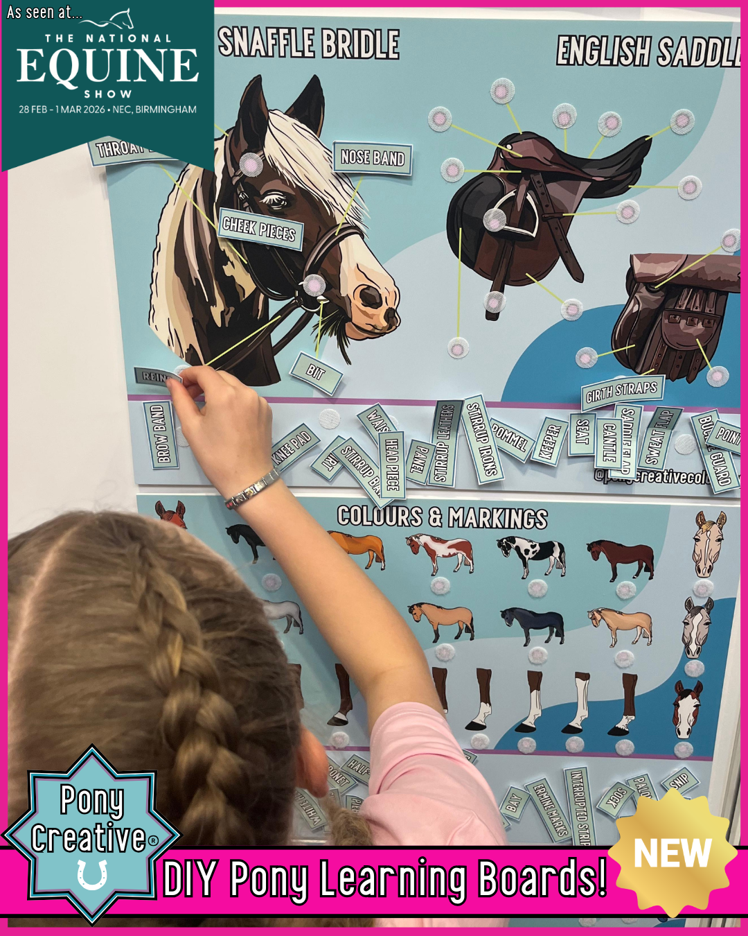 Pony Creative  DIY Pony Learning Boards