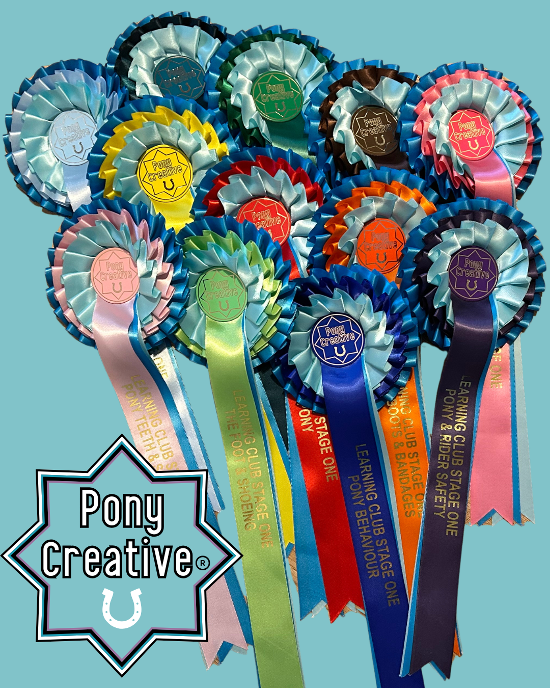 Pony Creative Learning Club: Rosettes