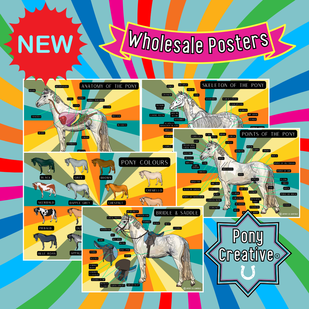 Pony Creative Posters - Wholesale