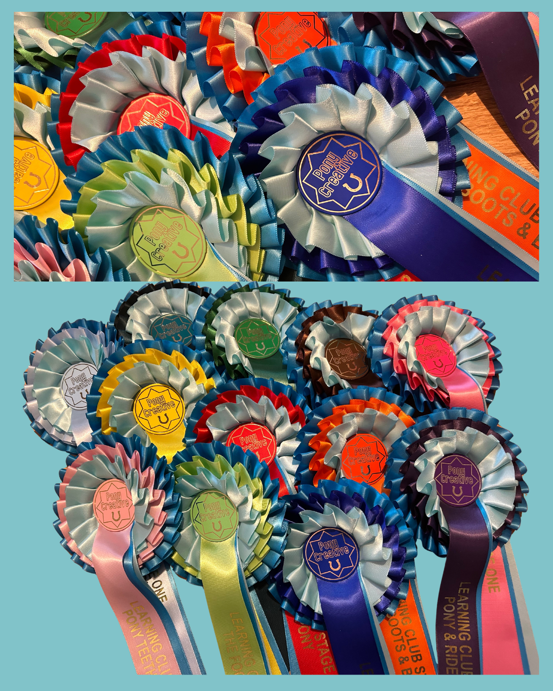 Pony Creative Learning Club: Rosettes
