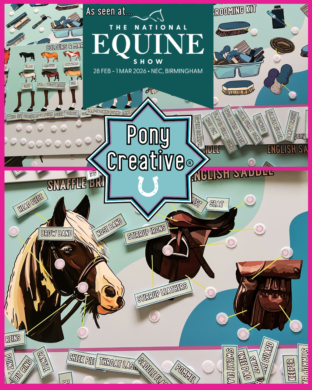 Pony Creative  DIY Pony Learning Boards