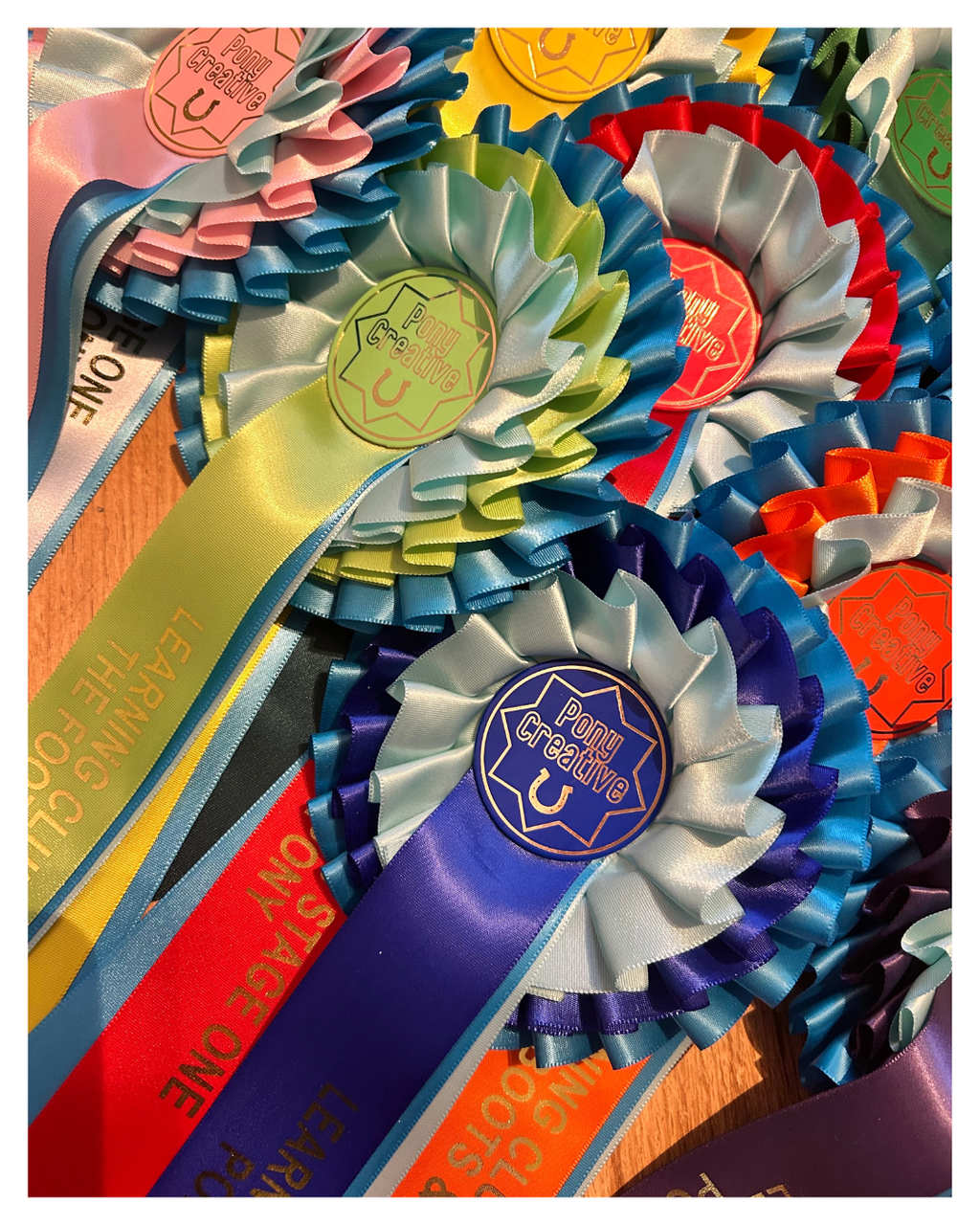 Pony Creative Learning Club: Rosettes