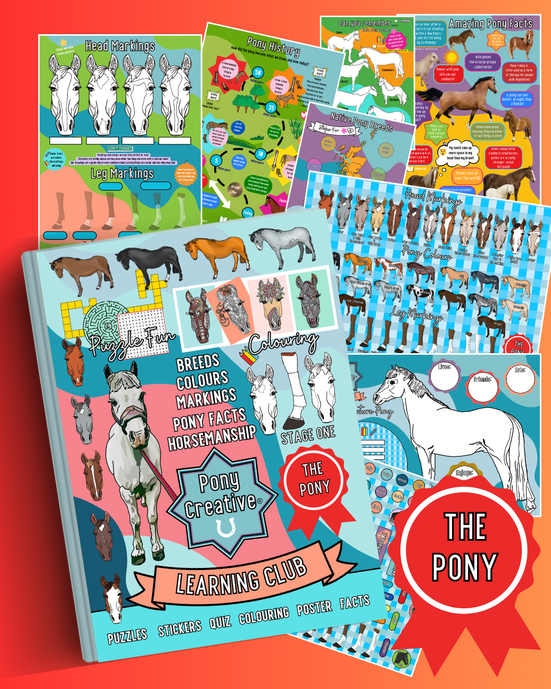 Pony Creative Learning Club: Previous Topics