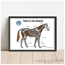 Load image into Gallery viewer, Pony Creative Colouring Book &amp; Set of 9 Posters - Christmas 2023 Special
