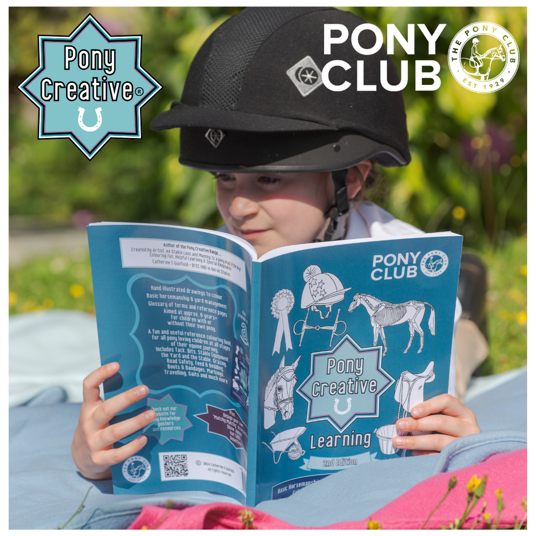 Pony Creative Learning Book - Wholesale