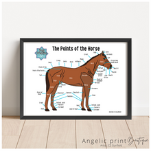 Load image into Gallery viewer, Pony Creative Colouring Book &amp; Set of 9 Posters - Christmas 2023 Special
