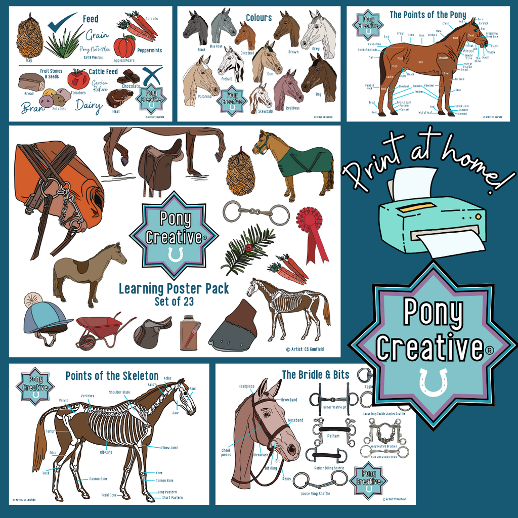 Pony Creative - Printable Learning Posters pack