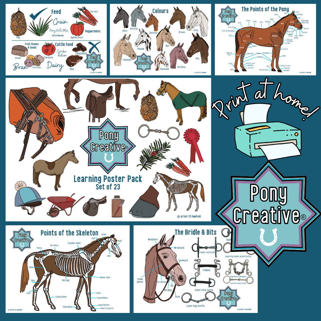 Pony Creative - Printable Learning Posters pack