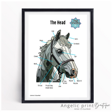 Load image into Gallery viewer, Pony Creative Colouring Book &amp; Set of 9 Posters - Christmas 2023 Special
