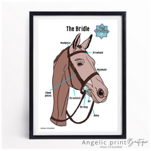Load image into Gallery viewer, Pony Creative Colouring Book &amp; Set of 9 Posters - Christmas 2023 Special
