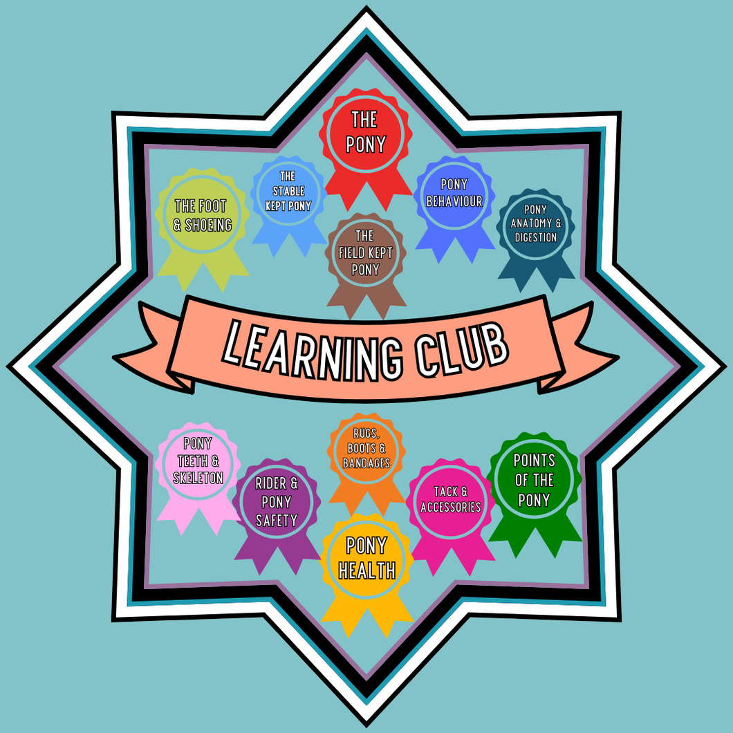 Pony Creative Learning Club Subscription