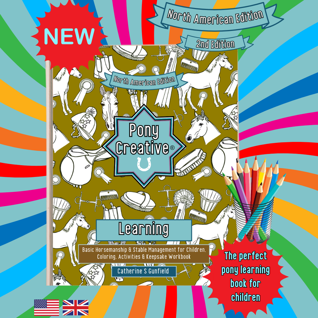 Pony Creative Learning Book UK/North American- Wholesale