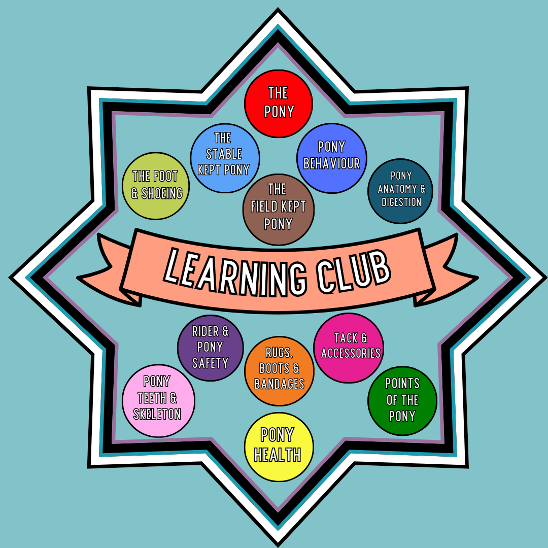 Pony Creative Learning Club: Subscription