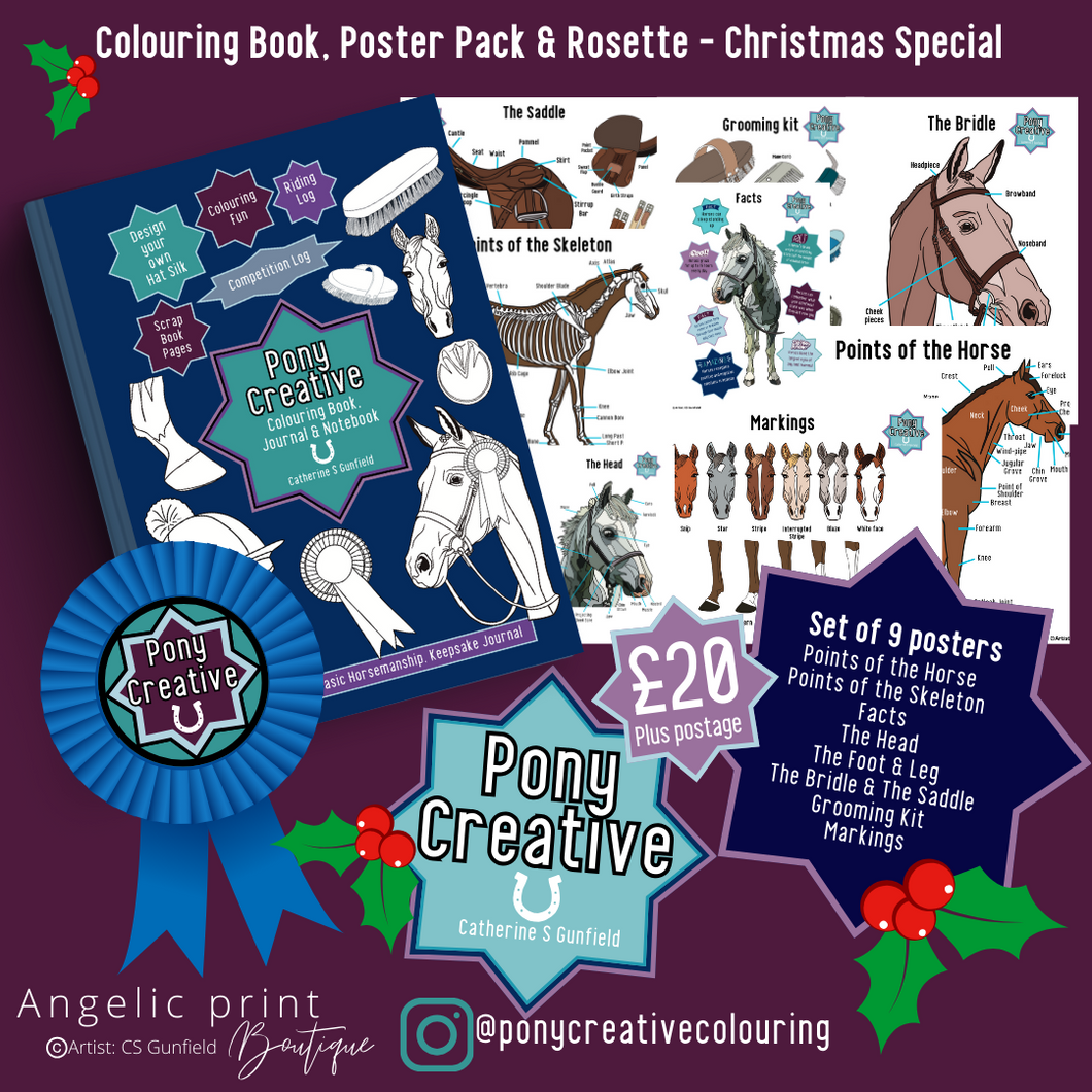 Pony Creative Colouring Book & Set of 9 Posters - Christmas 2023 Special