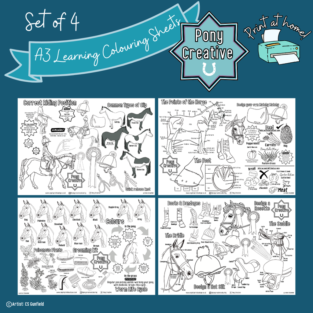 Pony Creative - Printable Learning Colouring Posters set of 4