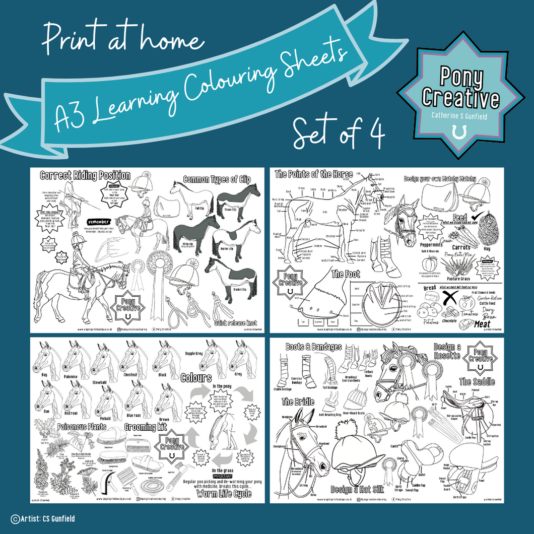 Pony Creative - Printable Learning Colouring Posters set of 4