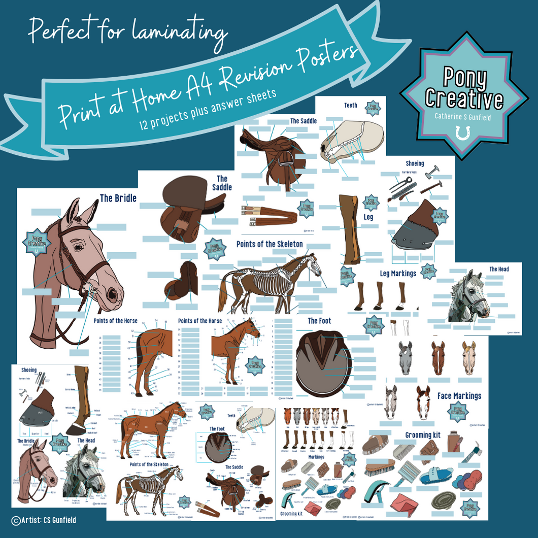 Pony Creative - Printable Learning Revision Sheets
