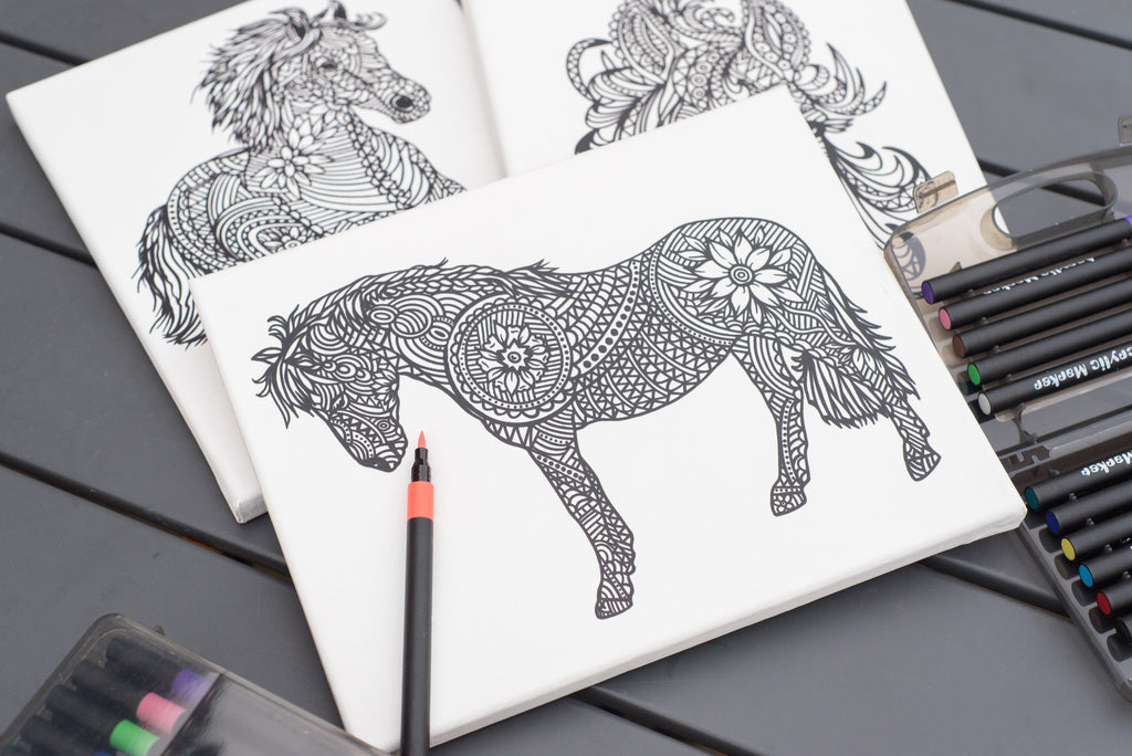 Pony Creative Mandala Colour-In Canvas & Acrylic Marker Set!