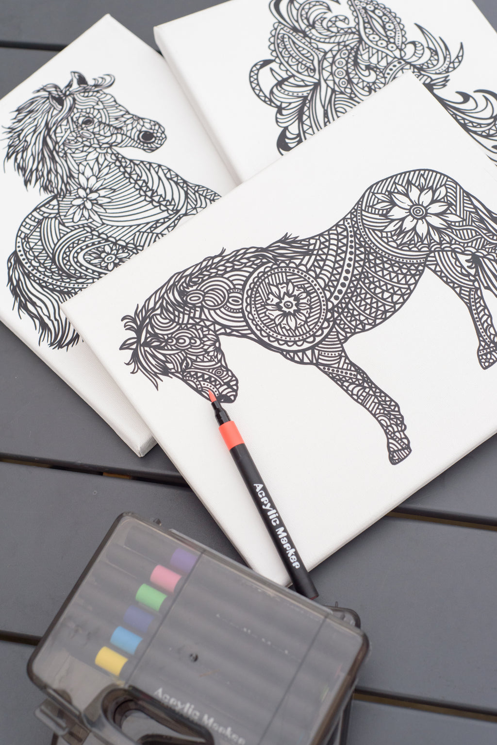 Pony Creative Mandala Colour-In Canvas & Acrylic Marker Set!