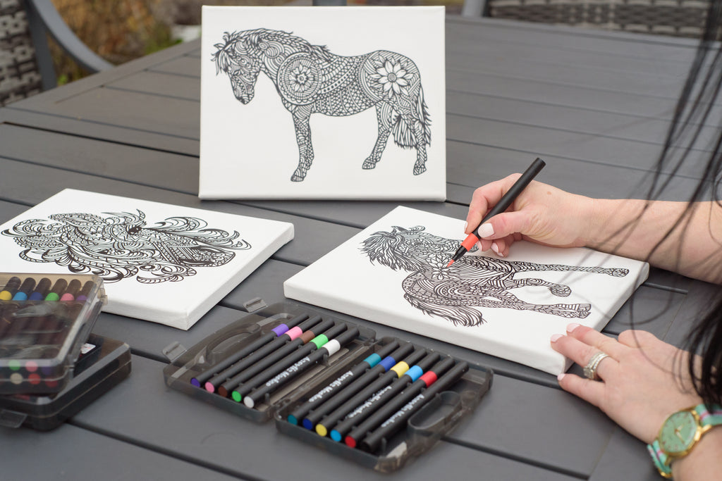 Pony Creative Mandala Colour-In Canvas & Acrylic Marker Set!
