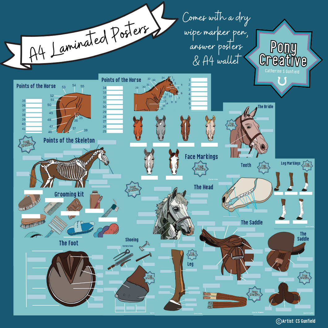 Pony Creative - Learning Revision Laminated Sheets