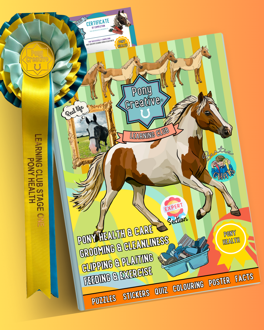 Pony Creative Learning Club: Subscription