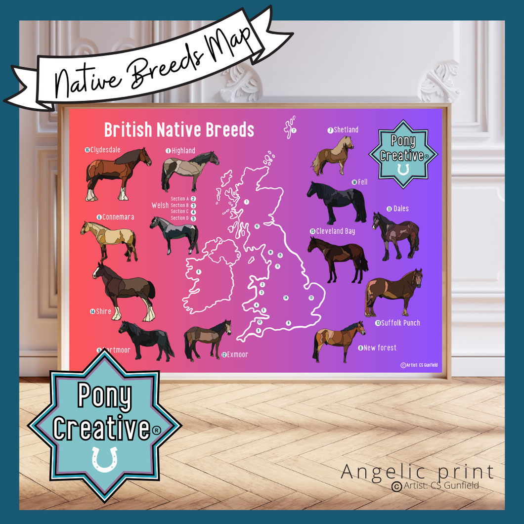 Pony Creative - Native Breeds Map