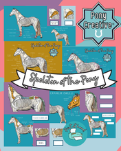 Load image into Gallery viewer, Pony Creative - COMPLETE PACK OF LEARNING PRINTABLES

