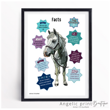 Load image into Gallery viewer, Pony Creative Colouring Book &amp; Set of 9 Posters - Christmas 2023 Special
