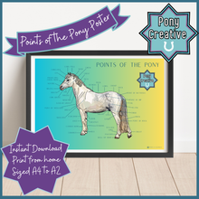 Load image into Gallery viewer, Pony Creative - Points of the Pony Poster
