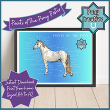 Load image into Gallery viewer, Pony Creative - Points of the Pony Poster
