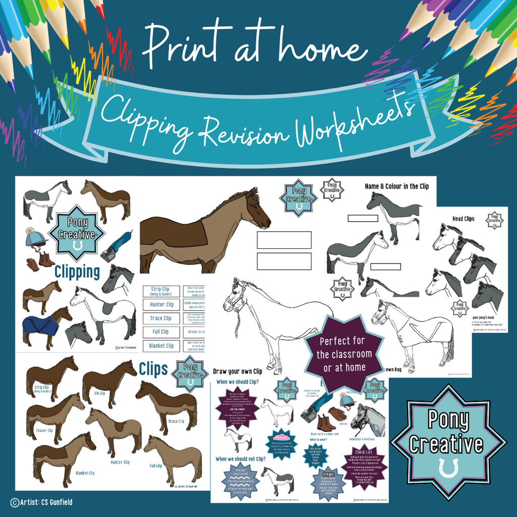 Pony Creative - Clipping Revision Pack