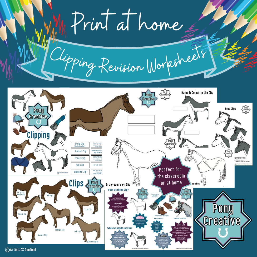 Pony Creative - Clipping Revision Pack