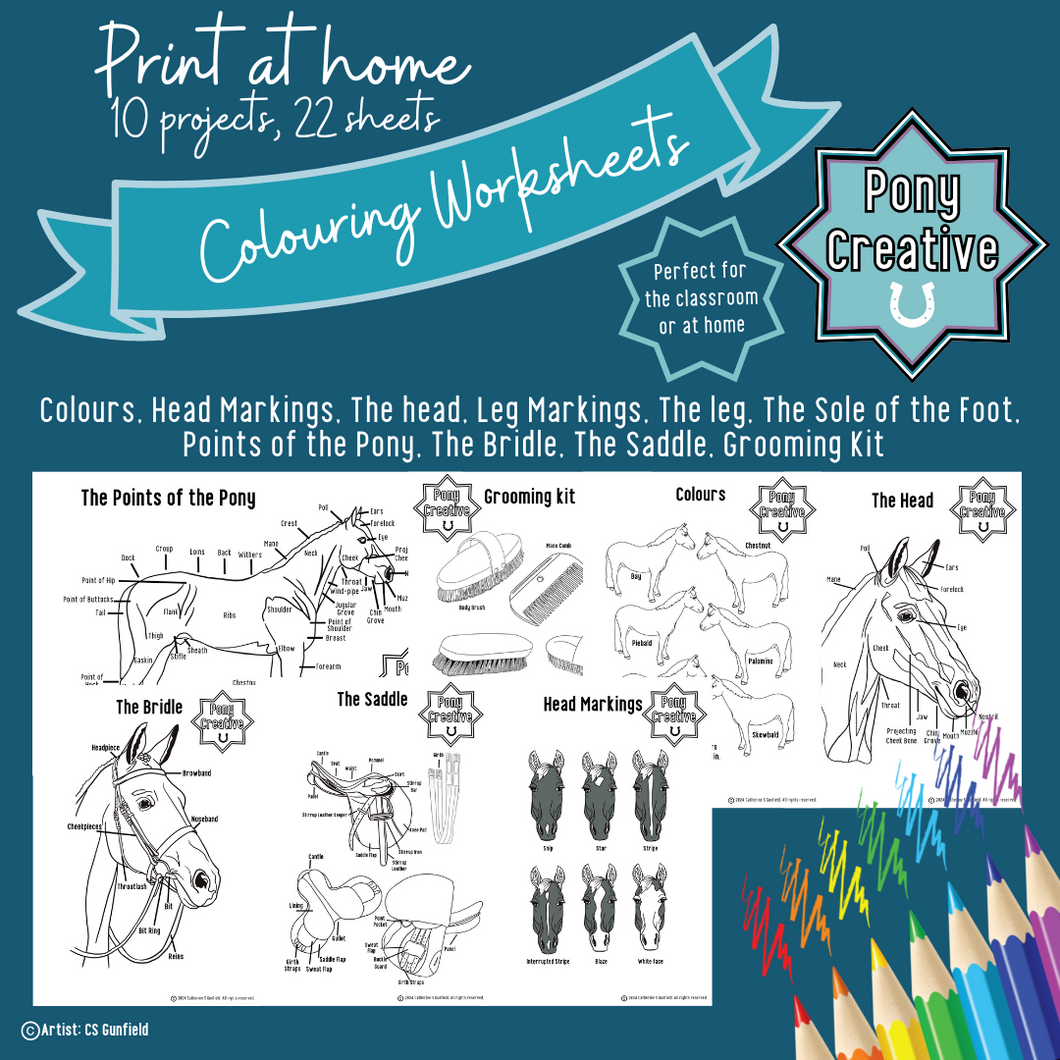 Pony Creative - Printable Learning Colouring Worksheets