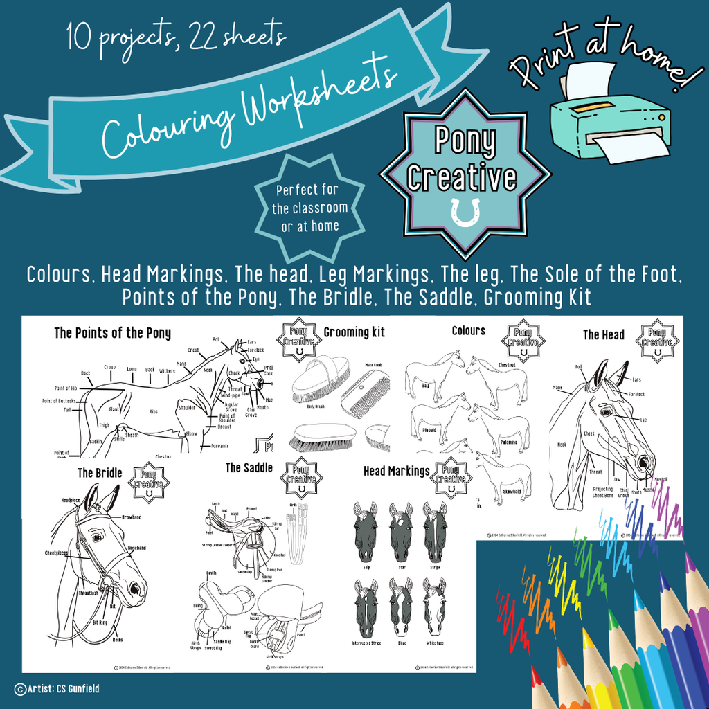 Pony Creative - Printable Learning Colouring Worksheets